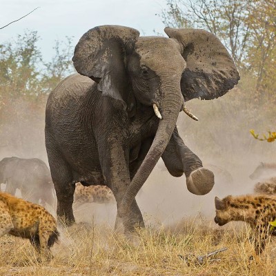 1920 x 1080 HD Wallpapers 2278